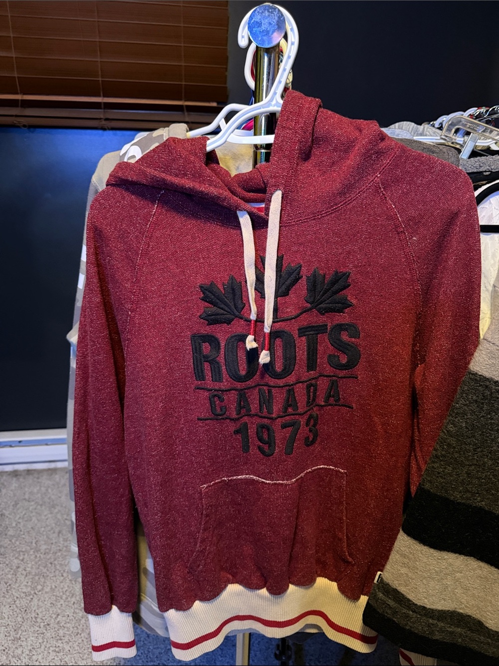 roots cabin hoodie